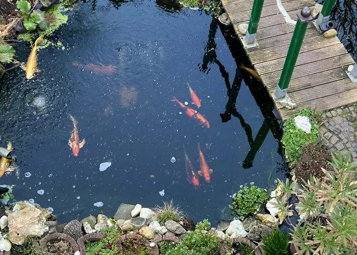 Am Teich 2